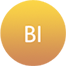 Business Intelligence